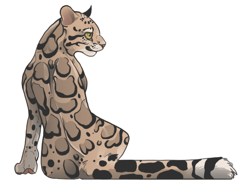 leopard clipart drawing