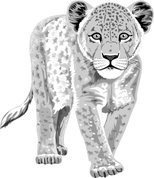 Baby snow pencil and. Clipart tiger leopard
