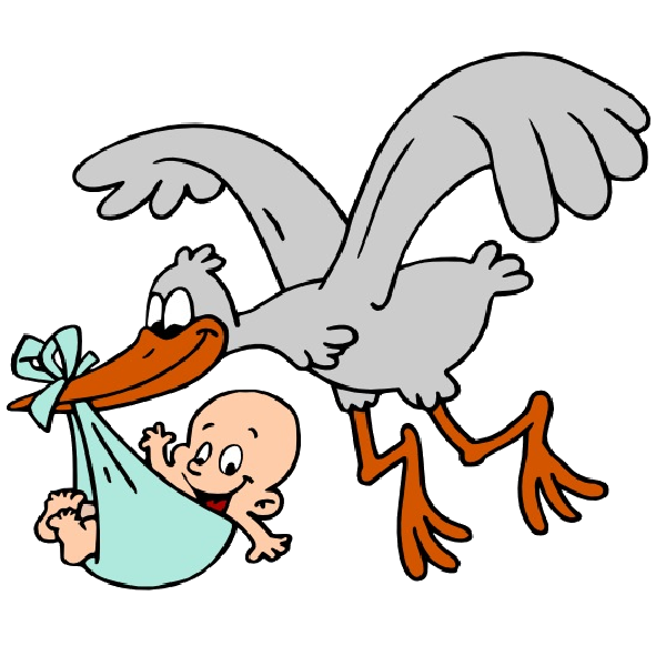 Stork carrying baby boy. Dream clipart imagery