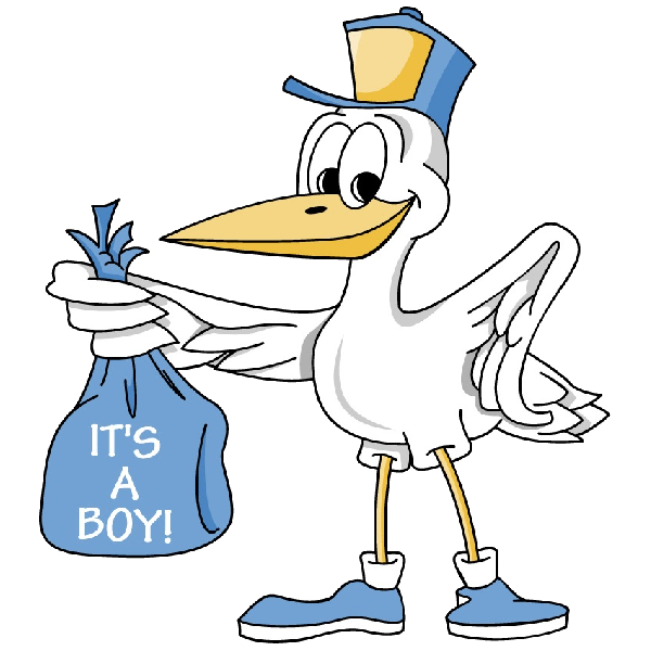 Cartoon stork image delivering. Scrapbook clipart baby boy