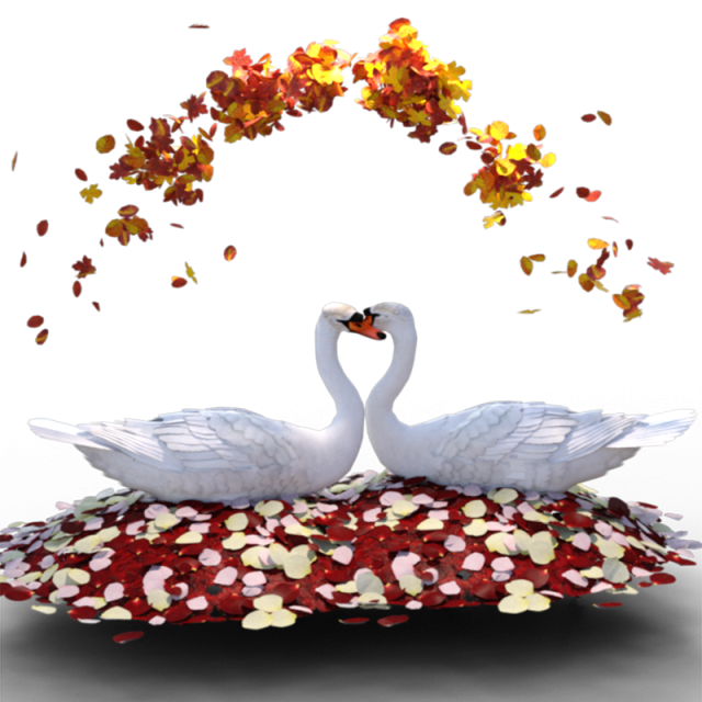 clipart hearts swan