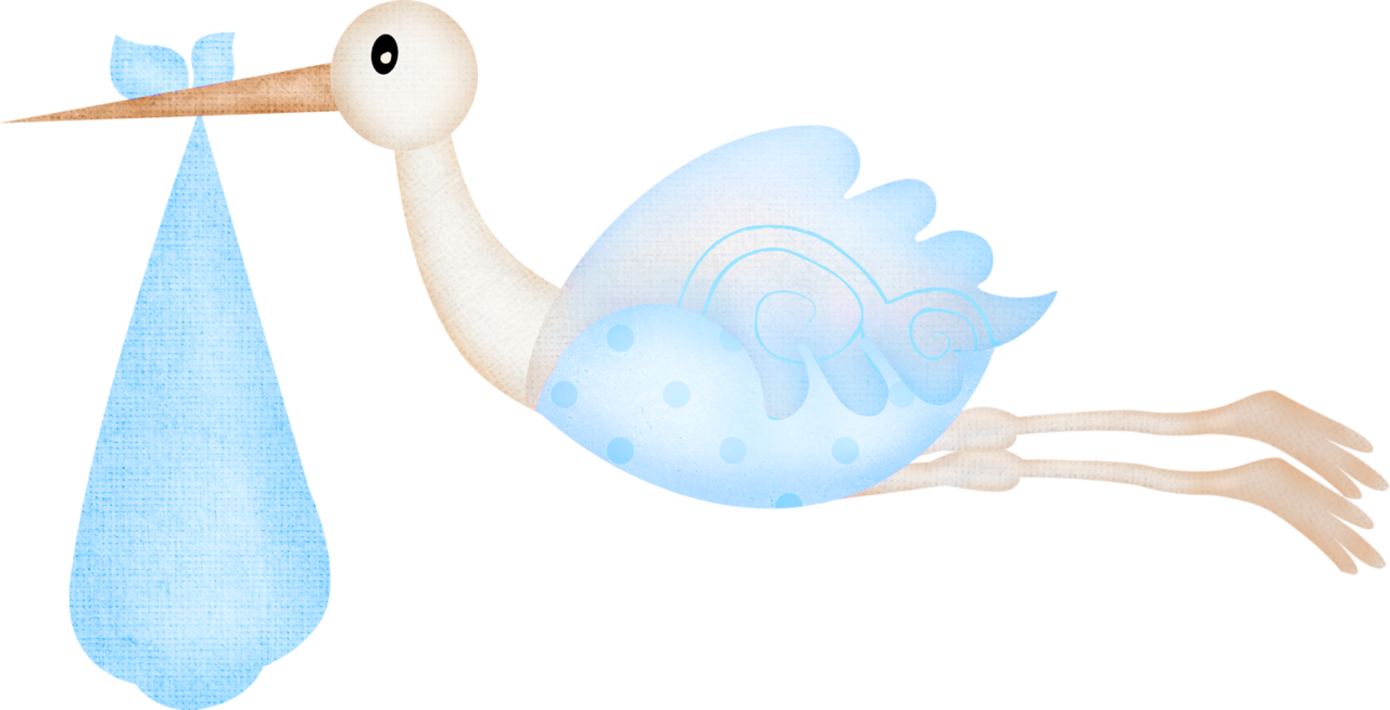 Clipart baby swan. It s a girl