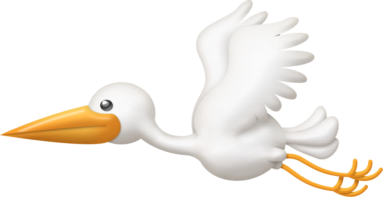 Clipart baby swan. Stork png pinterest scrapbooks