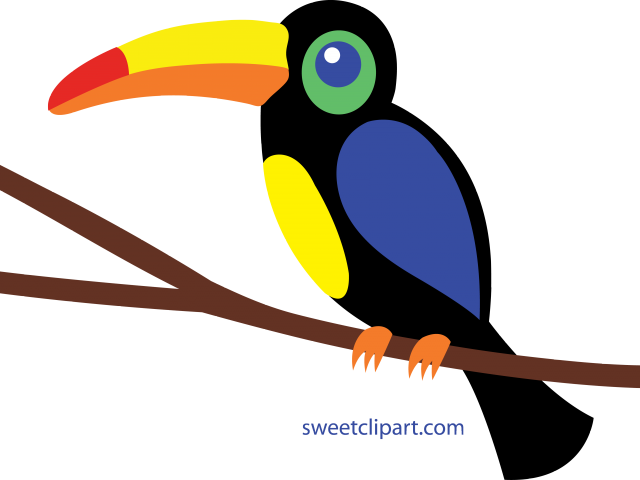 jungle clipart toucan