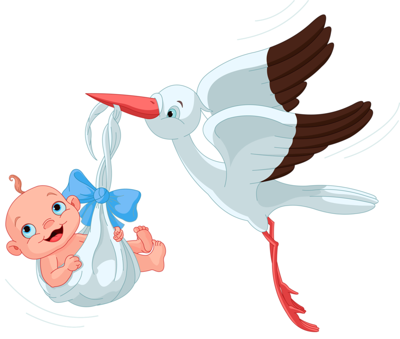  png explore vector. Stork clipart baby arrival