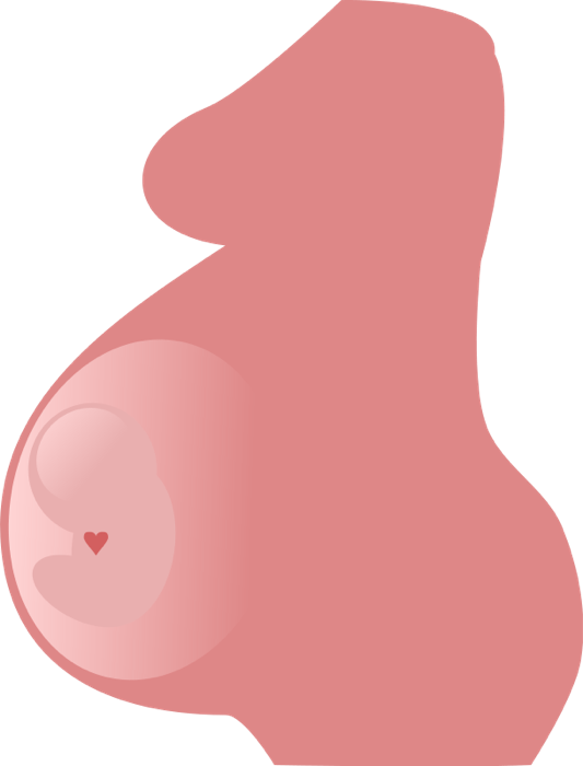 Free of women new. Mother clipart pregnant lady