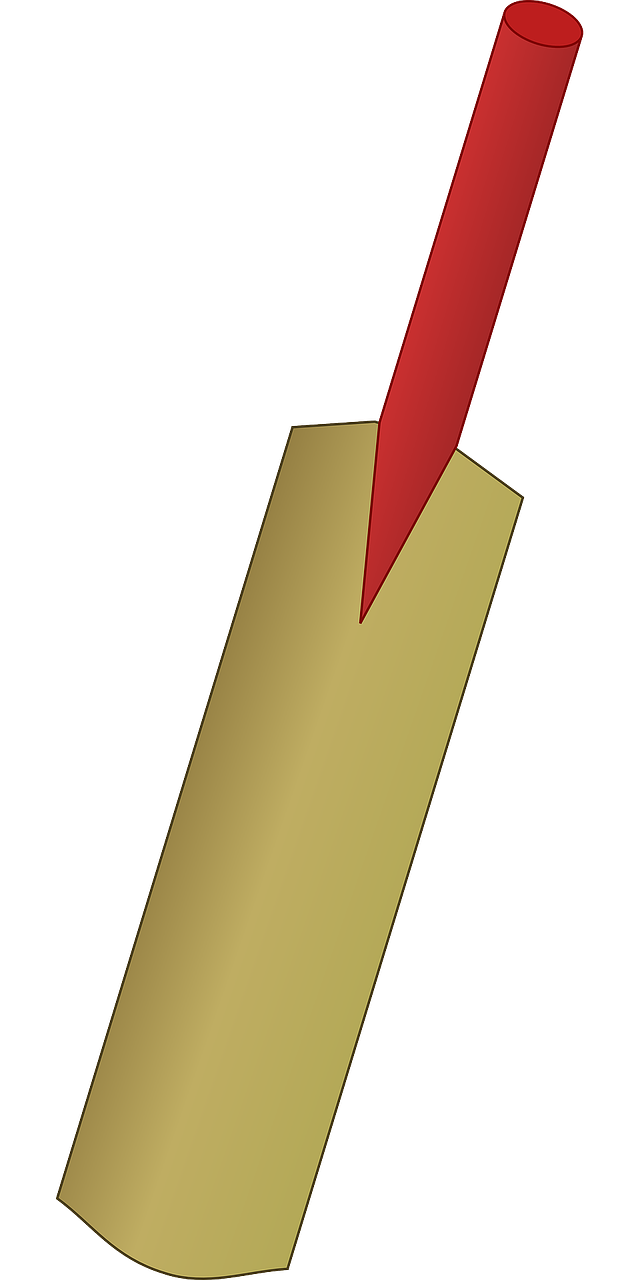 Bats baseball batting clip. Clipart ball cricket bat