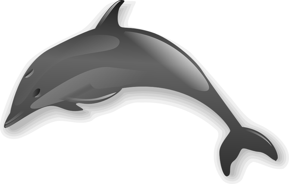 Dolphin jumping clip art. Dolphins clipart ball