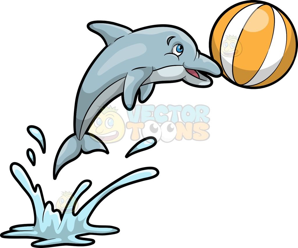 A dolphin playing with. Dolphins clipart ball