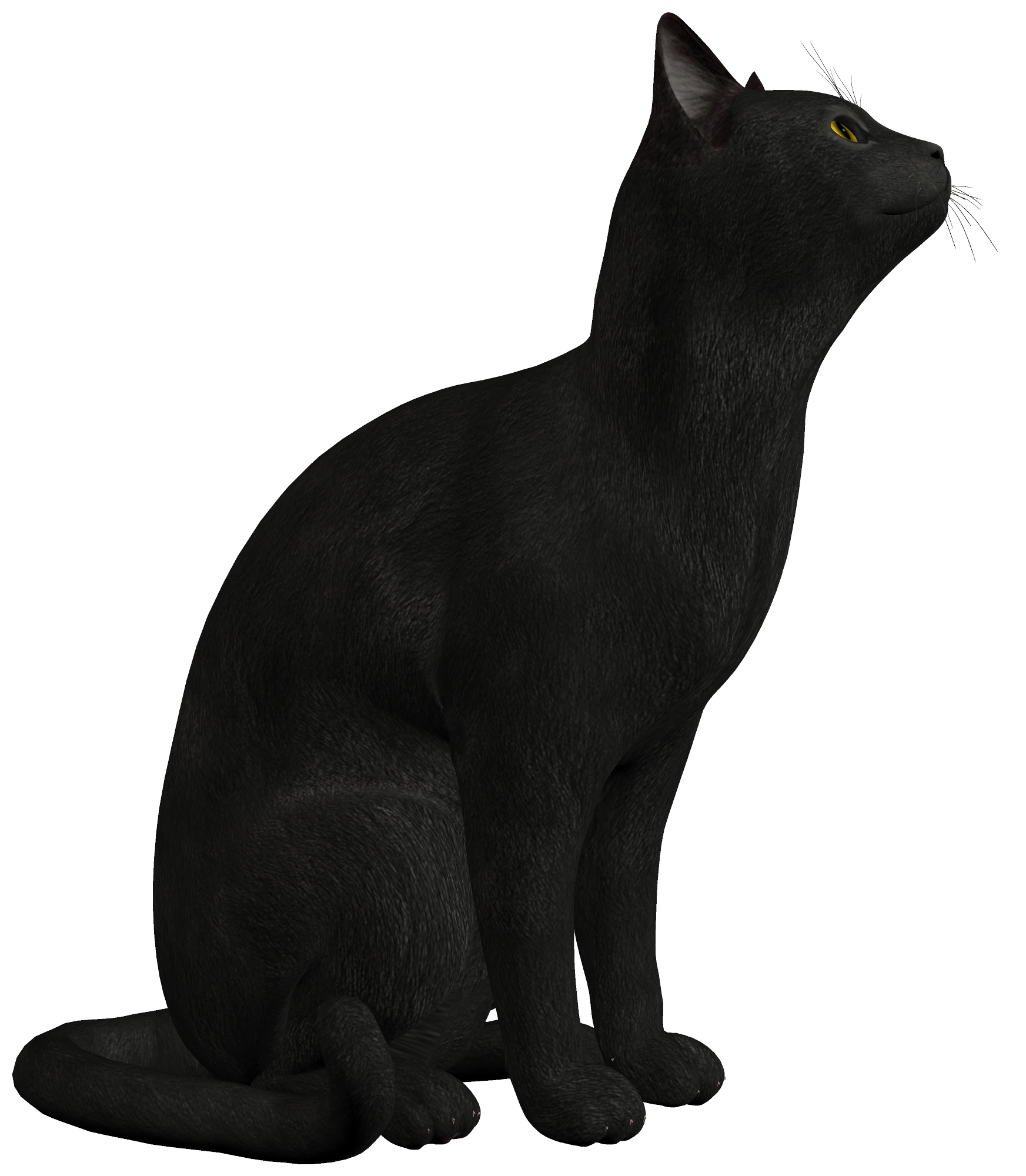 Black png best web. Clipart balloon cat