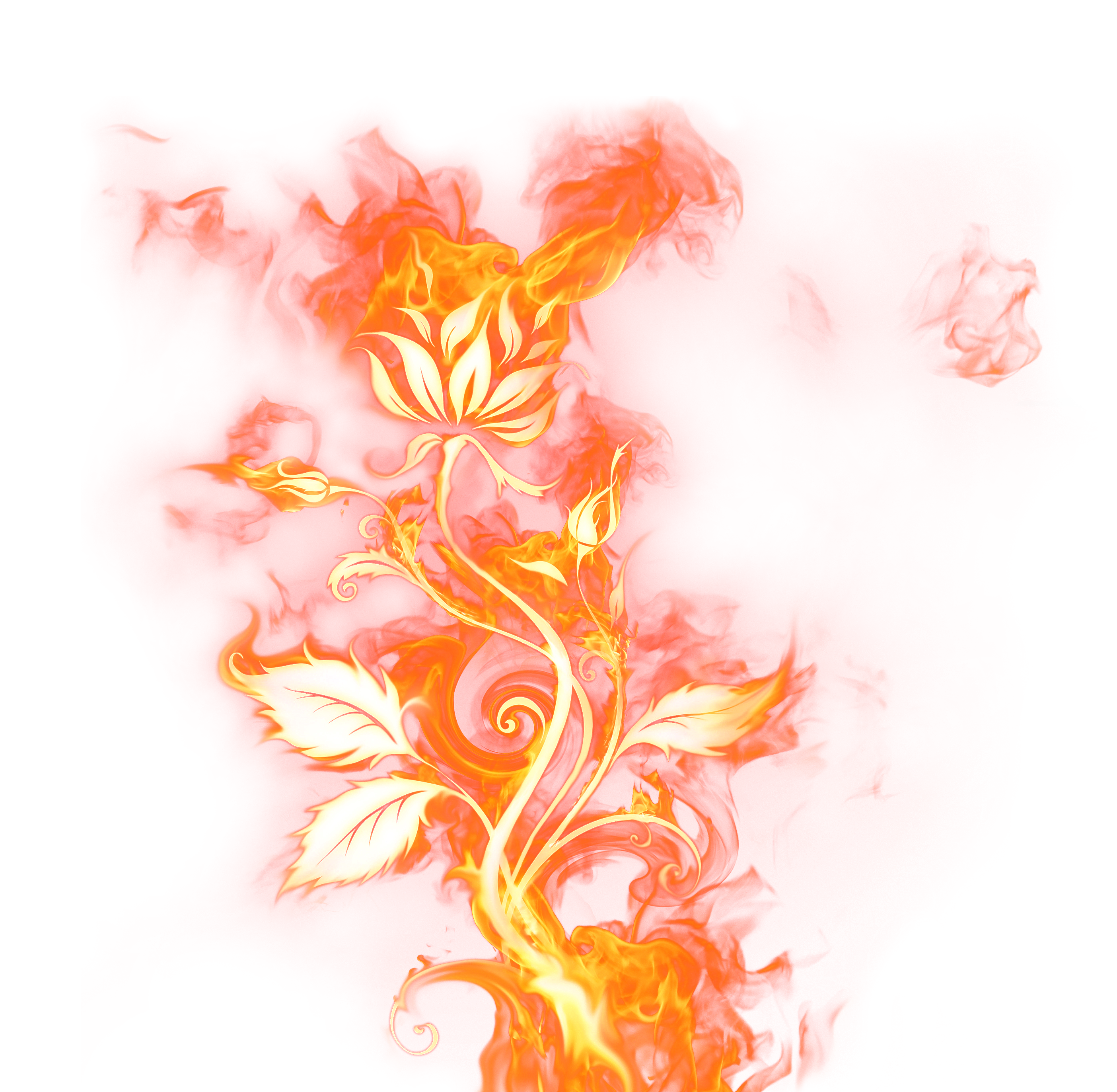 Beautiful rose of fire. Flames clipart flames harley