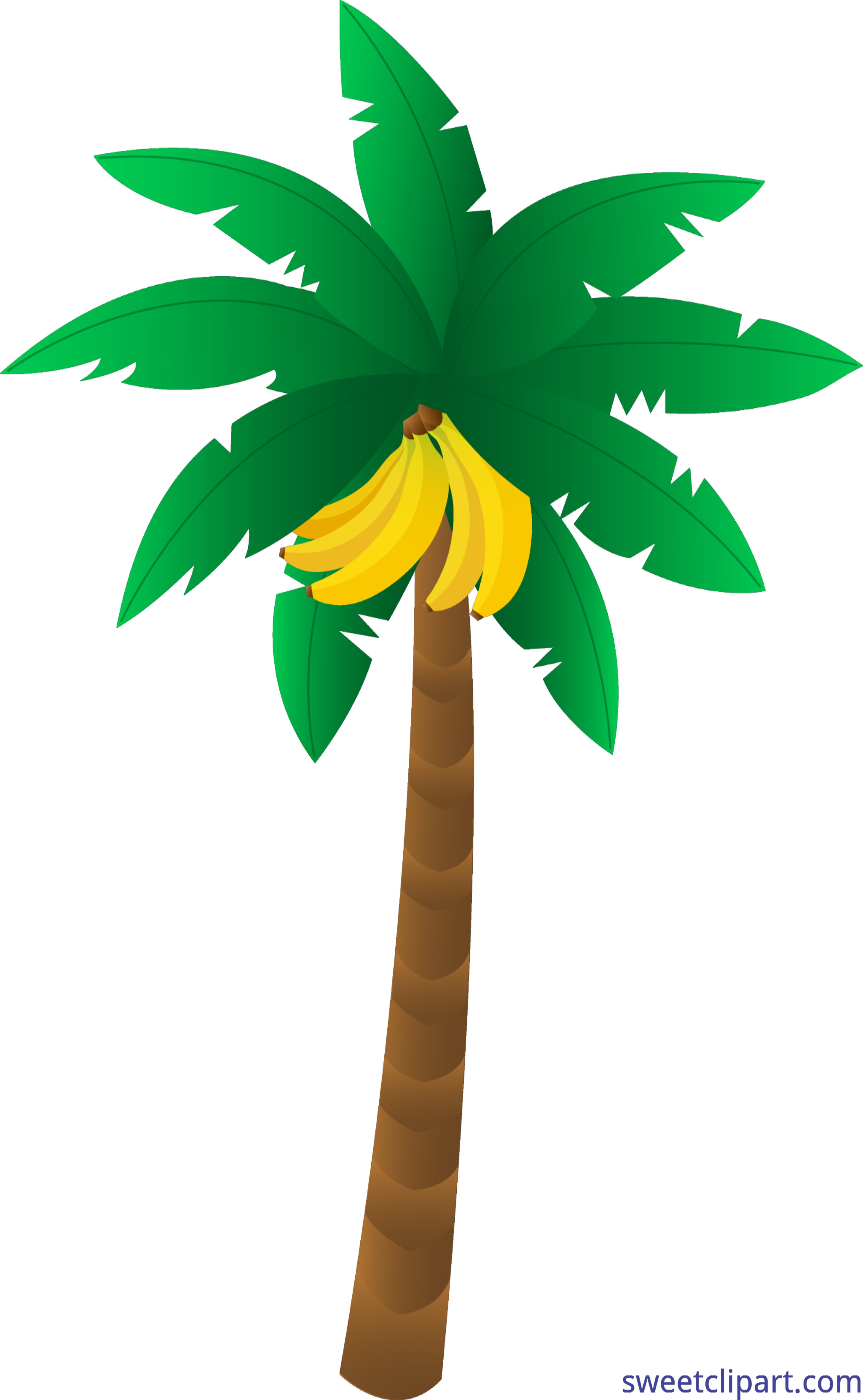 tree clipart banana