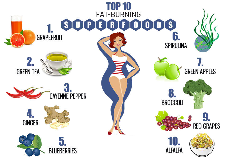 Http fastslim co uk. Healthy clipart nutritional food