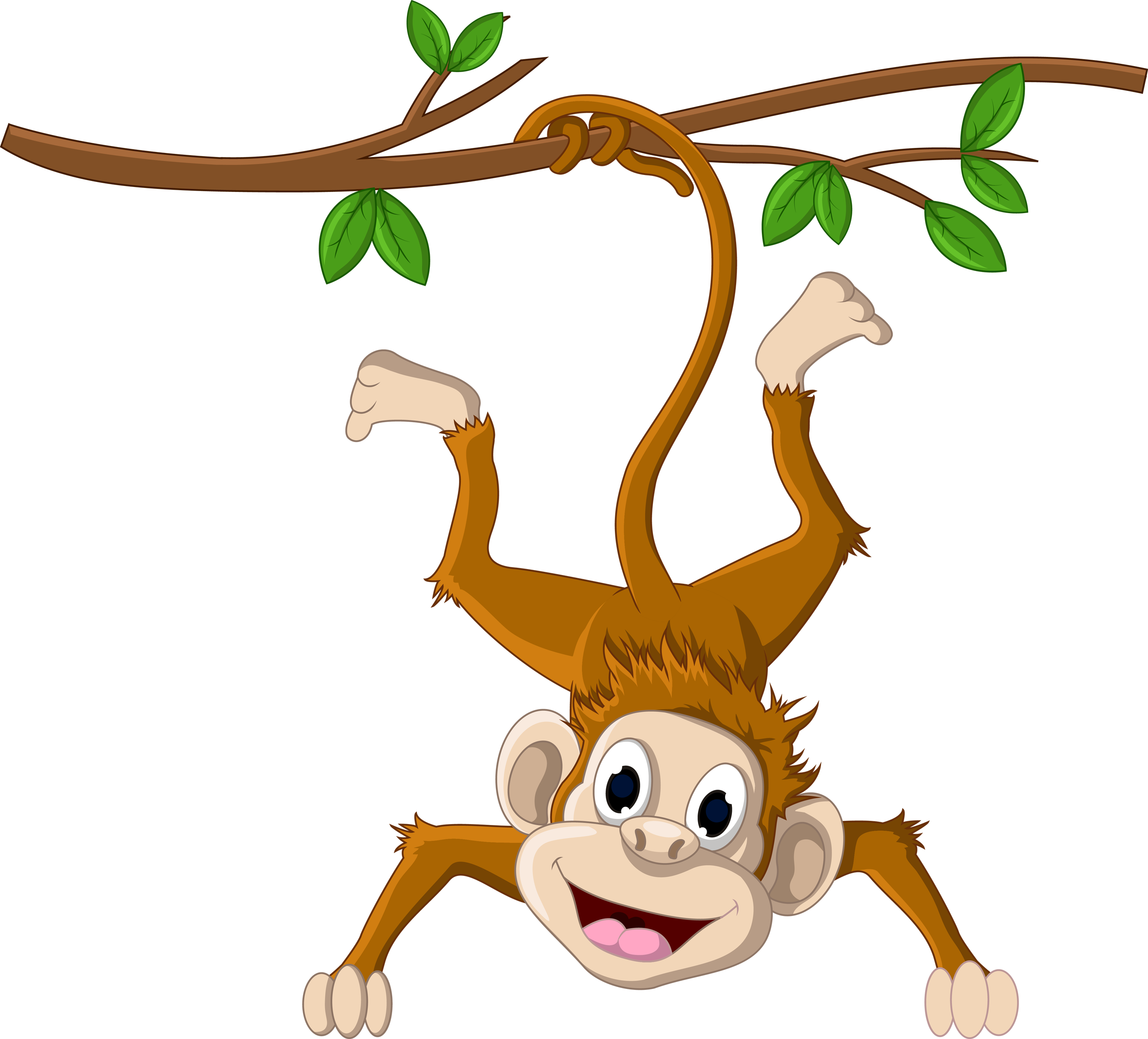 Clipart monkey baboon. Pin by valentina on