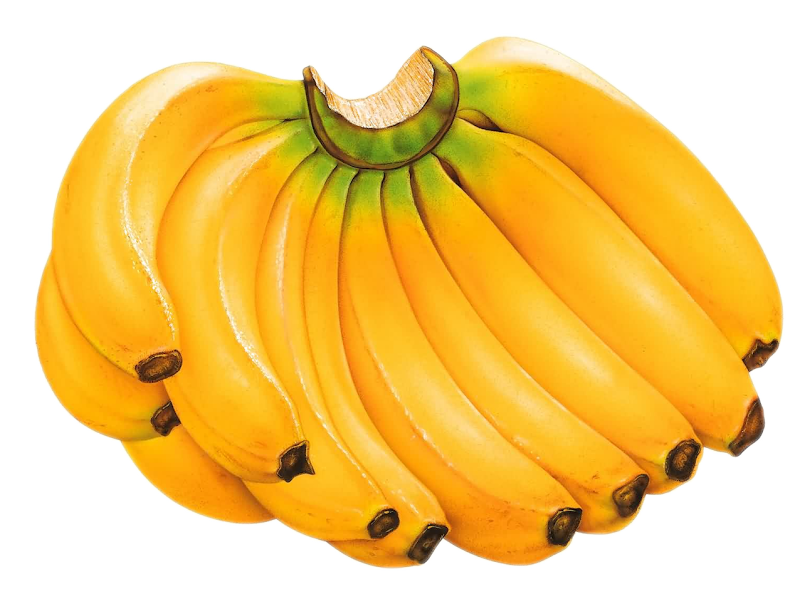 Clipart banana individual fruit, Clipart banana individual fruit