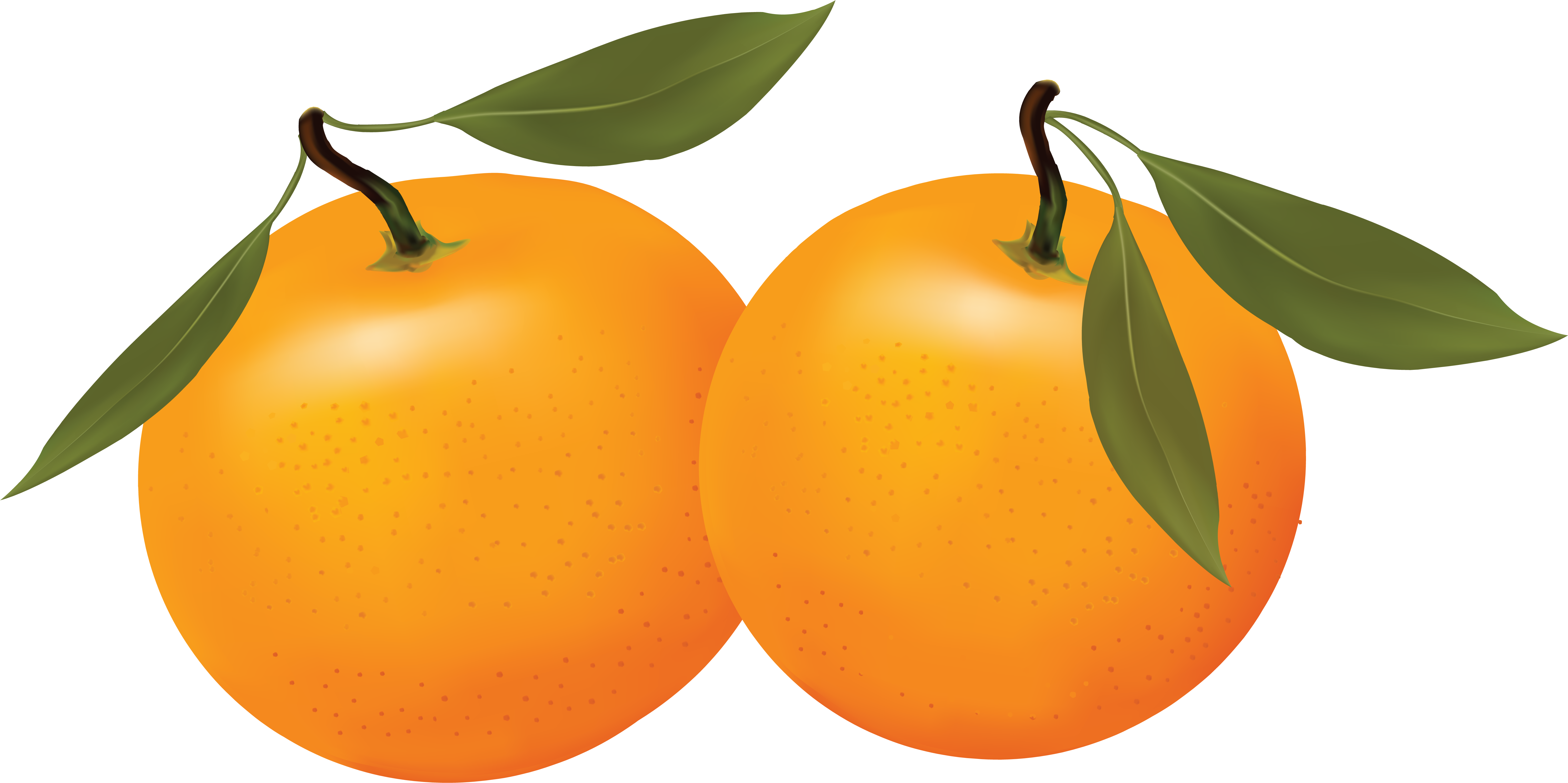 oranges clipart animals