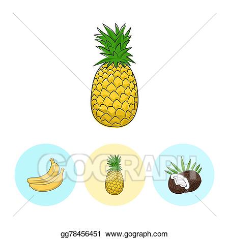 Clipart pineapple banana. Eps illustration fruit icons