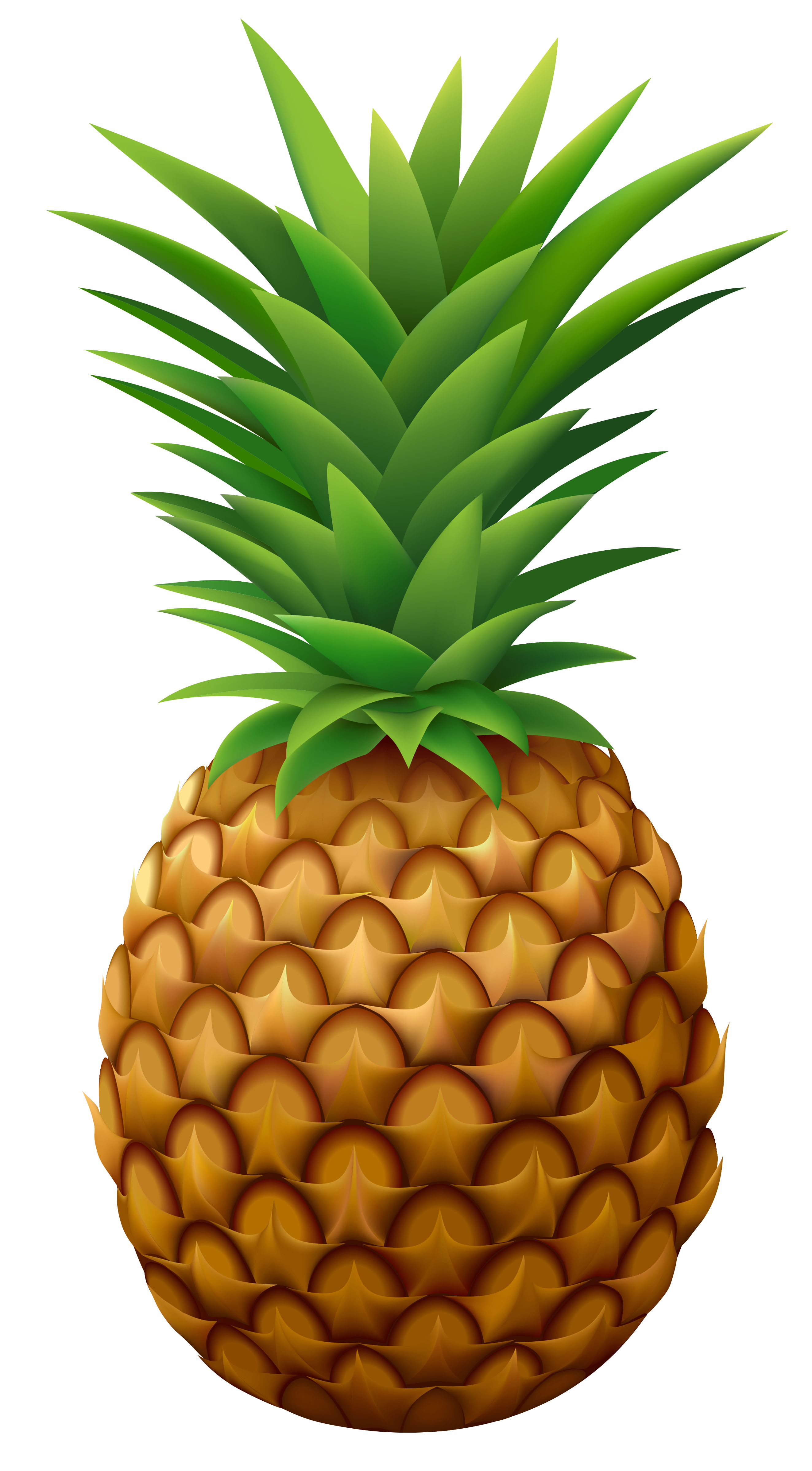 Pineapple png vector image. Coconut clipart green papaya