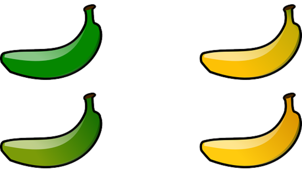 Nutrition clipart orange banana. Why you should eat