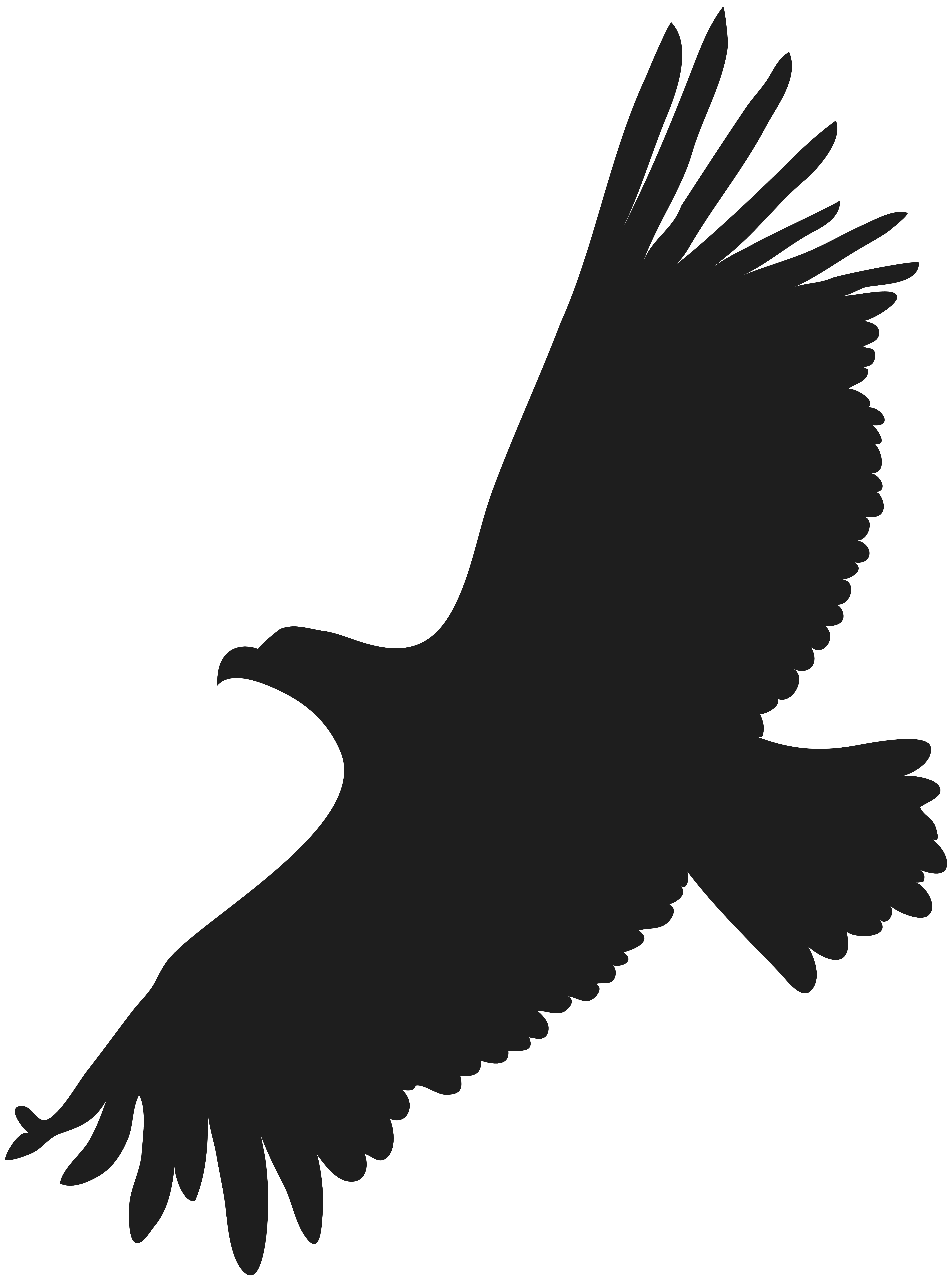 Free Clipart Eagle Picture 1158700 Free Clipart Eagle