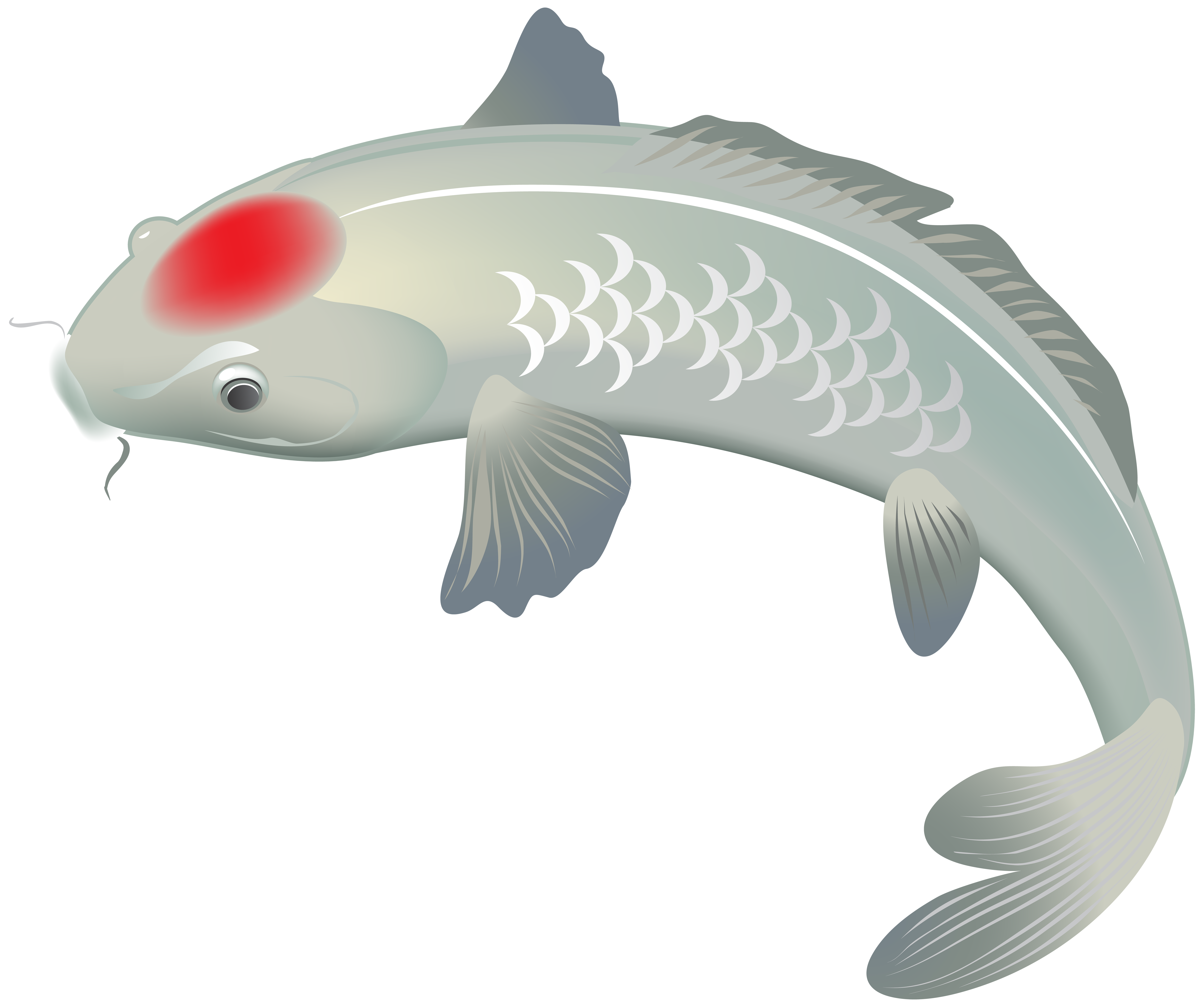 clipart numbers fish