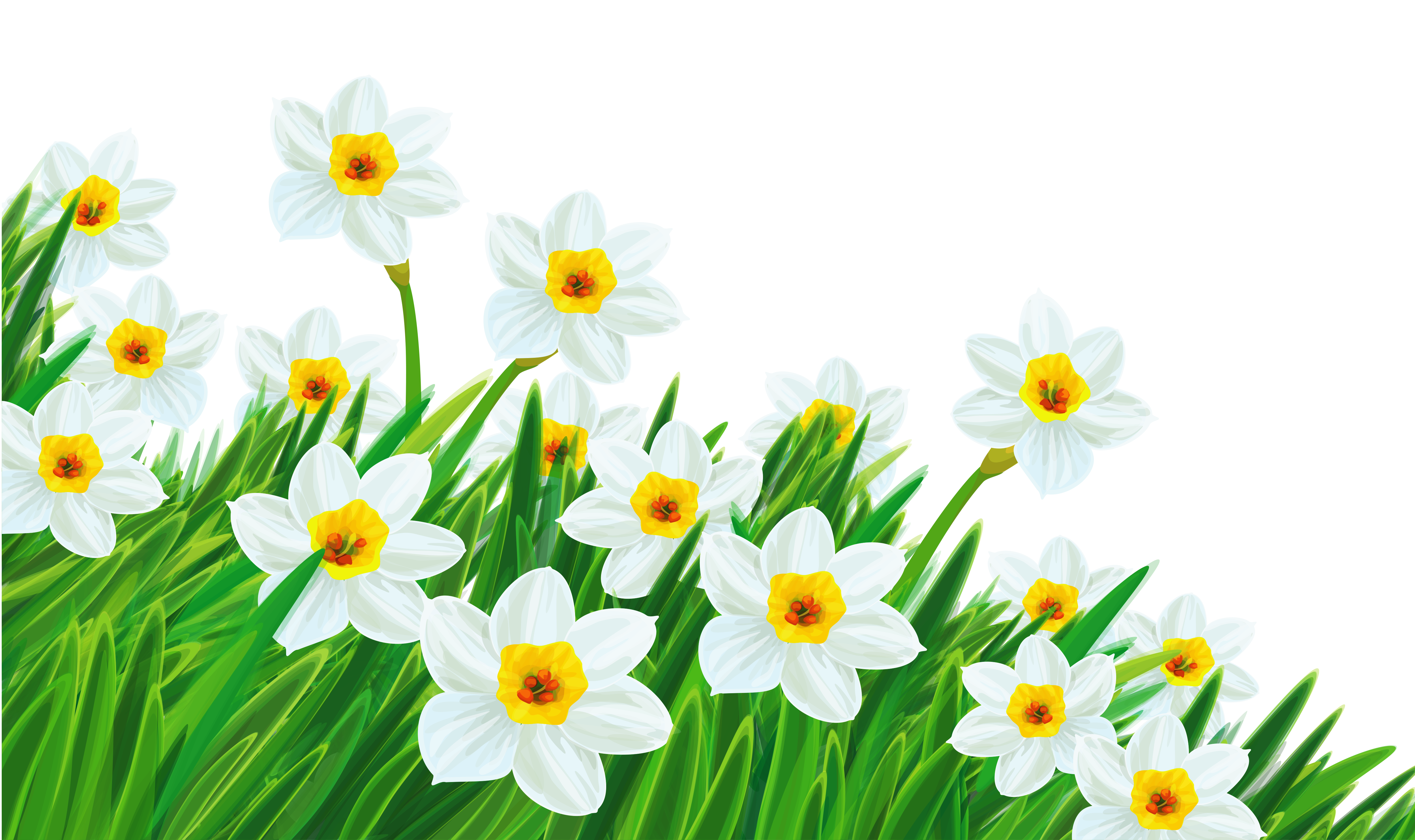 Newsletter clipart transparent background.  collection of garden