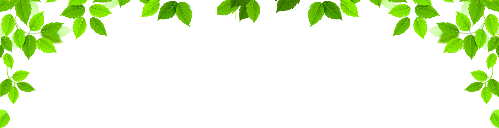 seedling clipart plant border