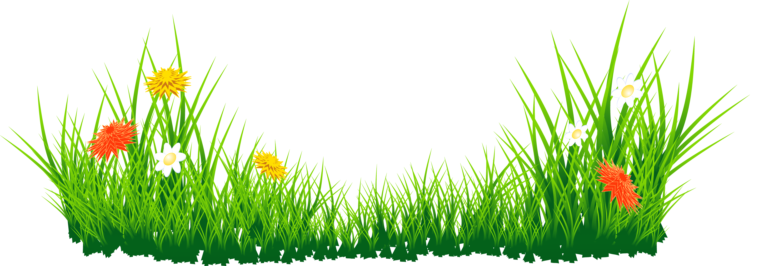 Flowers with grass png. Ground clipart border