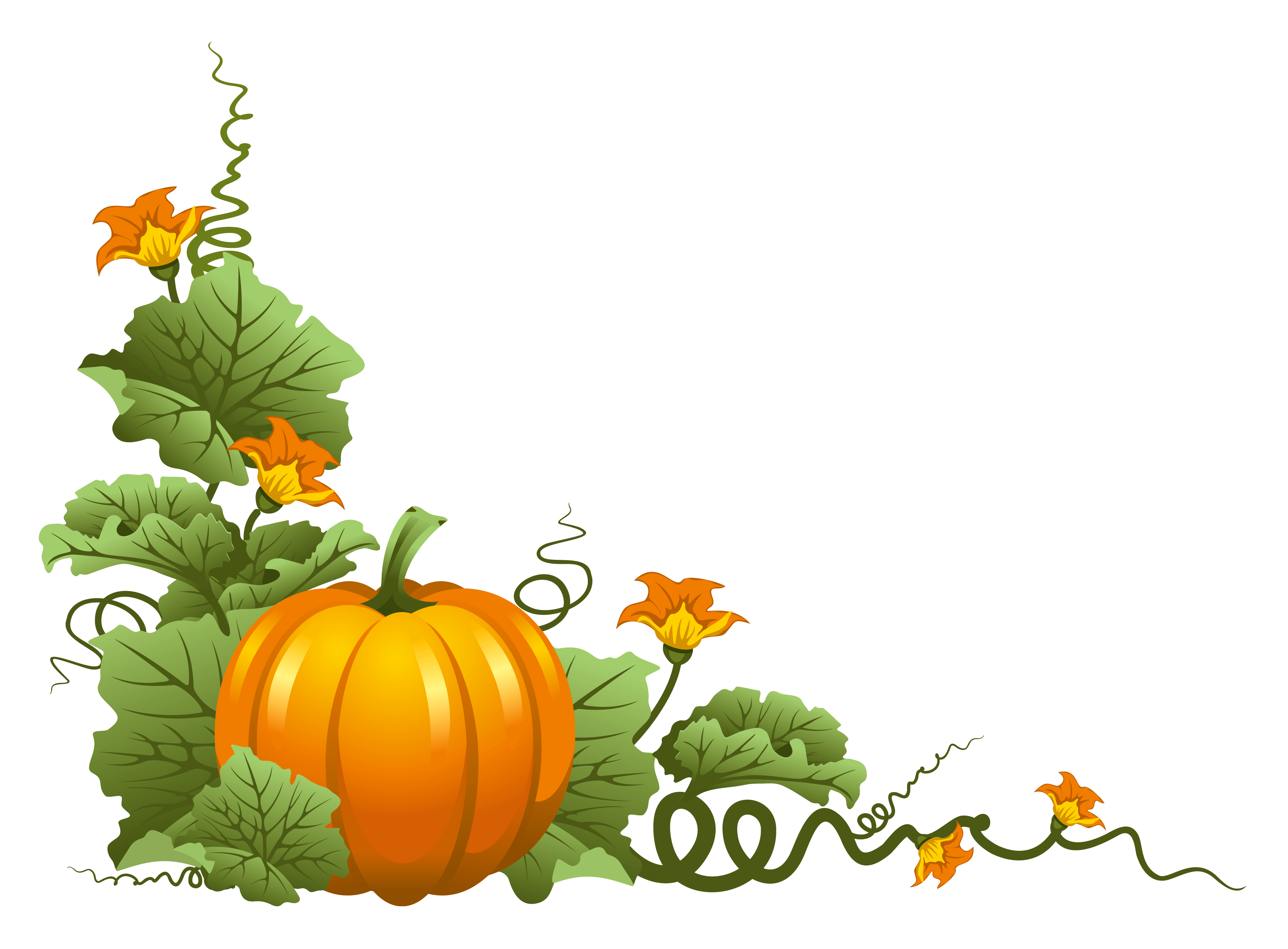 Cookies clipart pumpkin cookie. Decor png gallery yopriceville