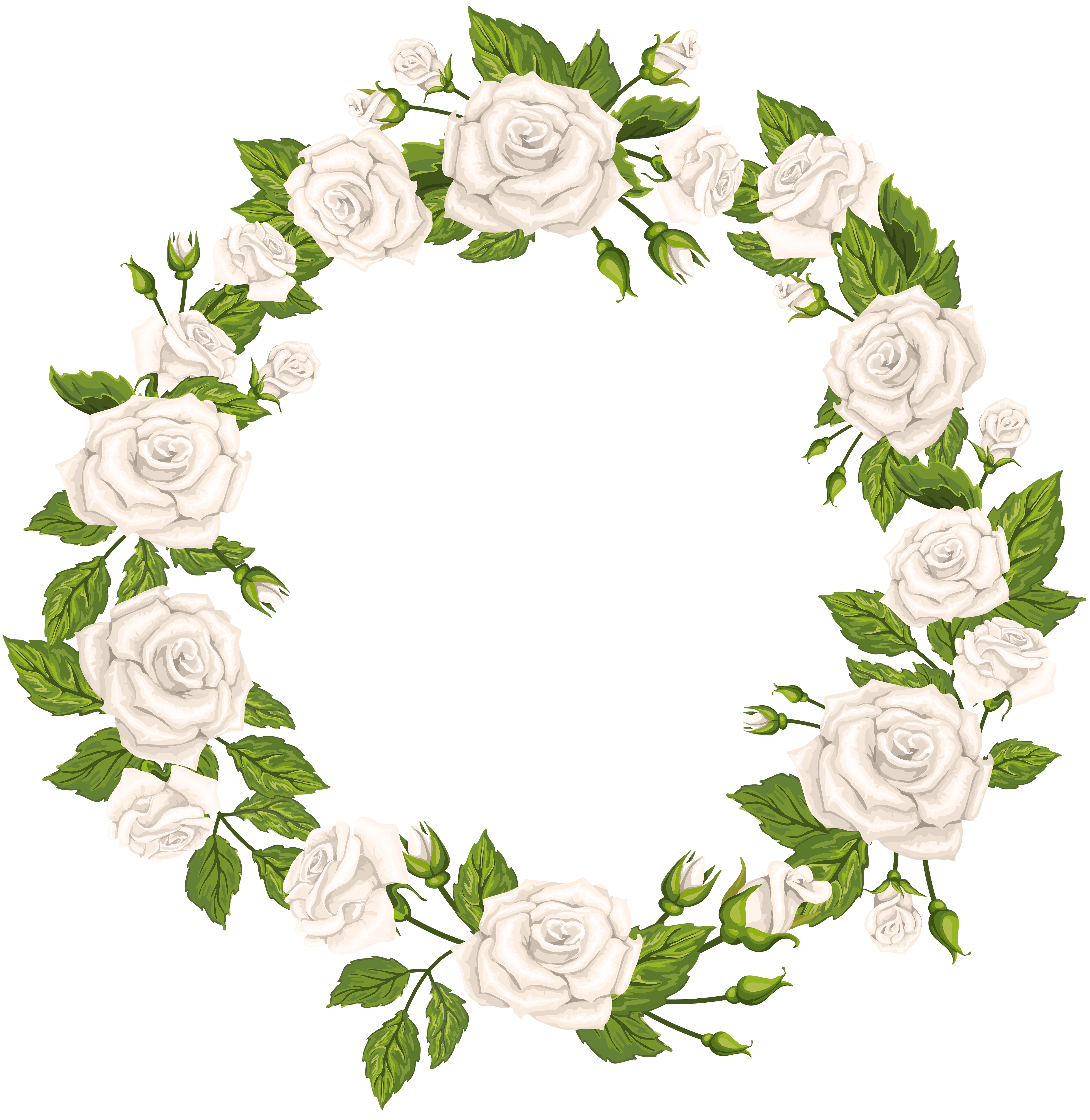 Roses border white png. Clipart rose boarder