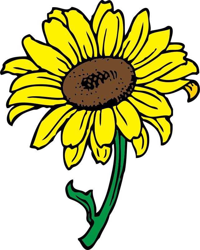 clipart banner sunflower