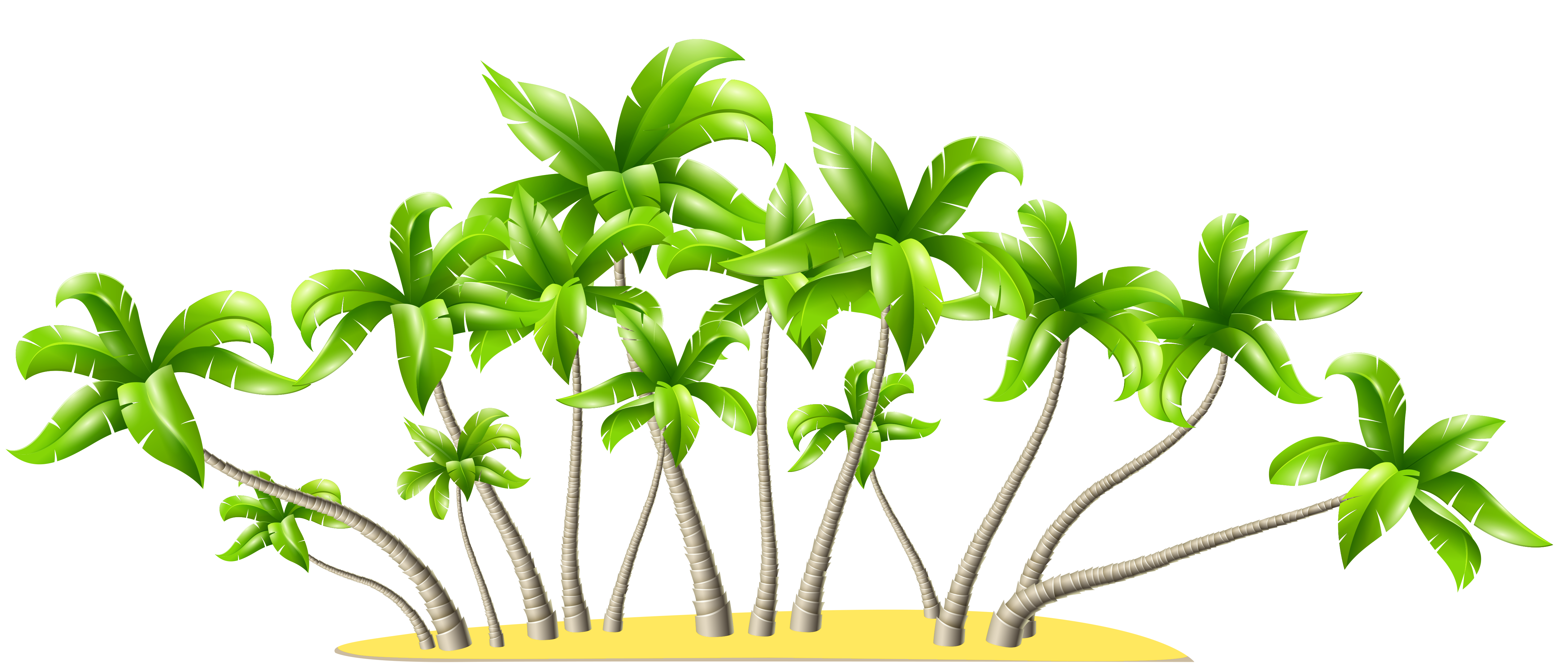 Palm clipart border. Trees png gallery yopriceville