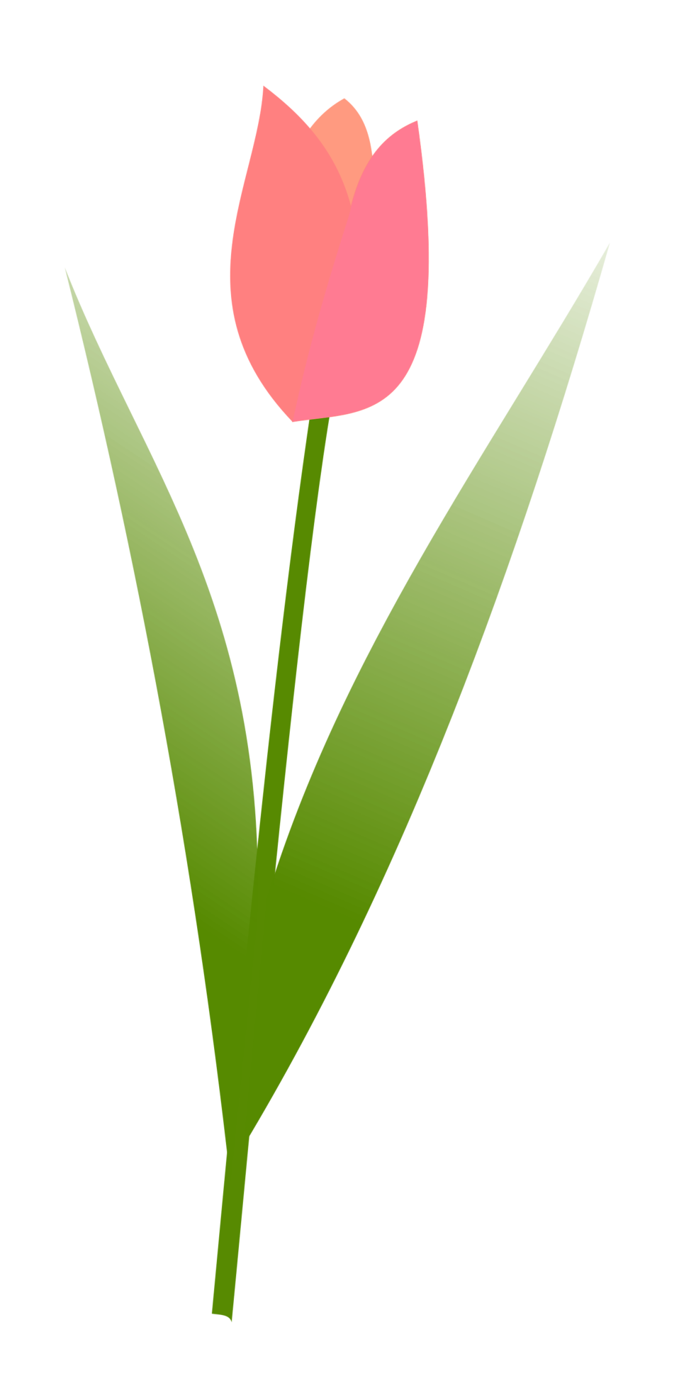 Free stock photo illustration. Clipart banner tulip