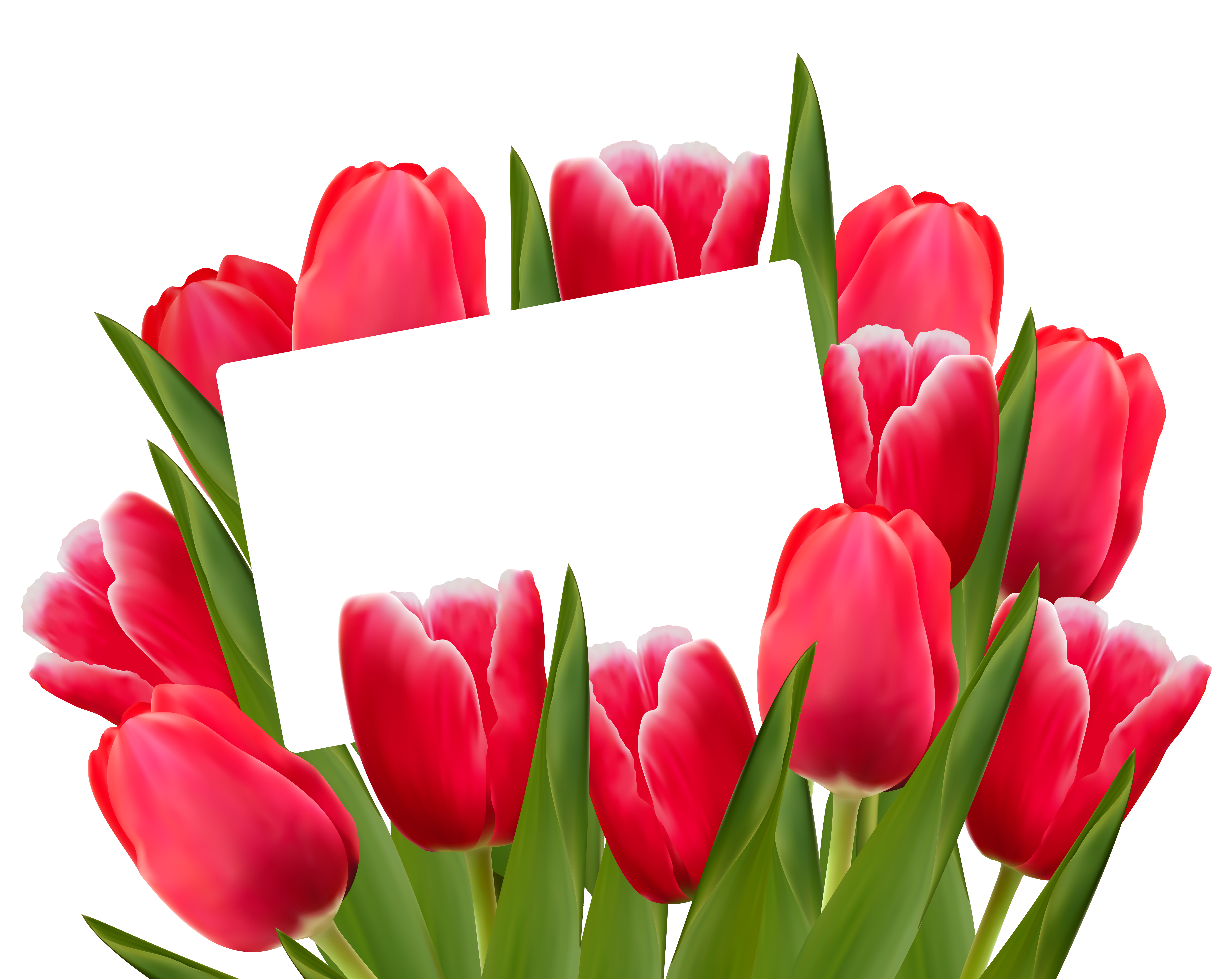 march clipart tulip