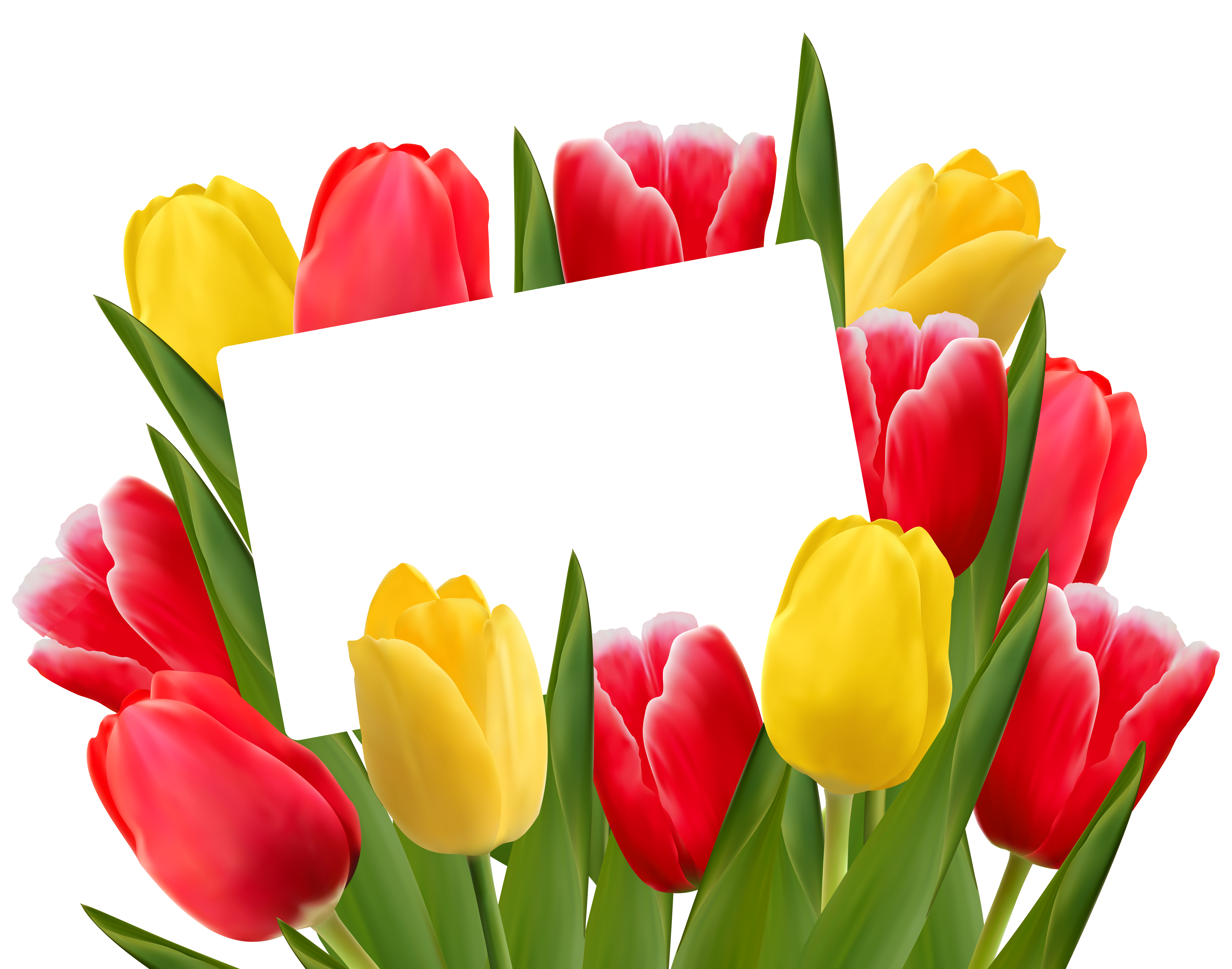 march clipart tulip