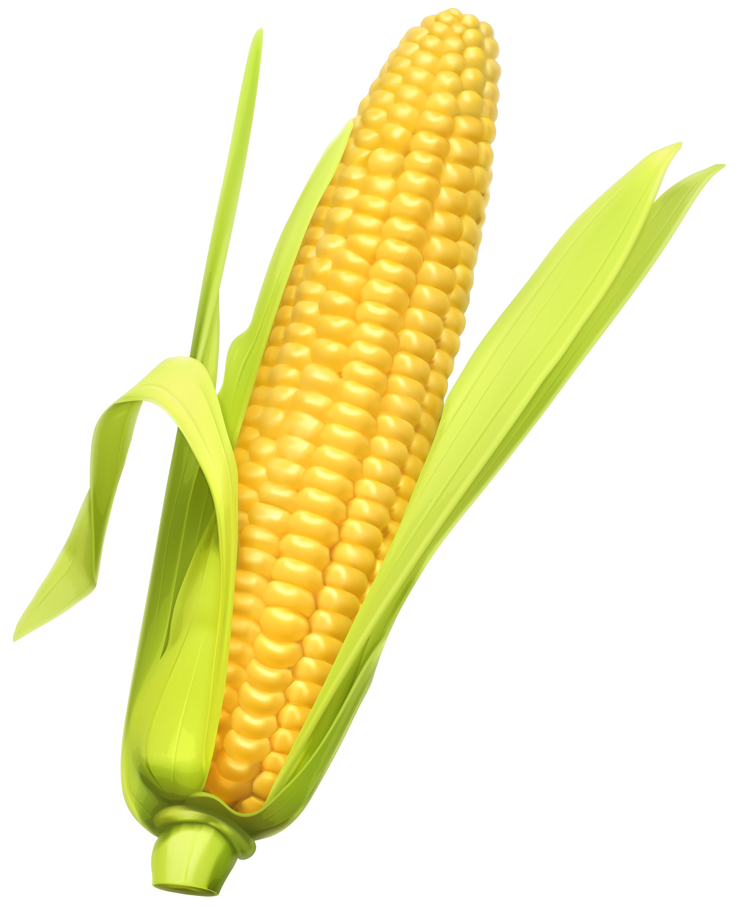 Pin by marija on. Grain clipart corn grain