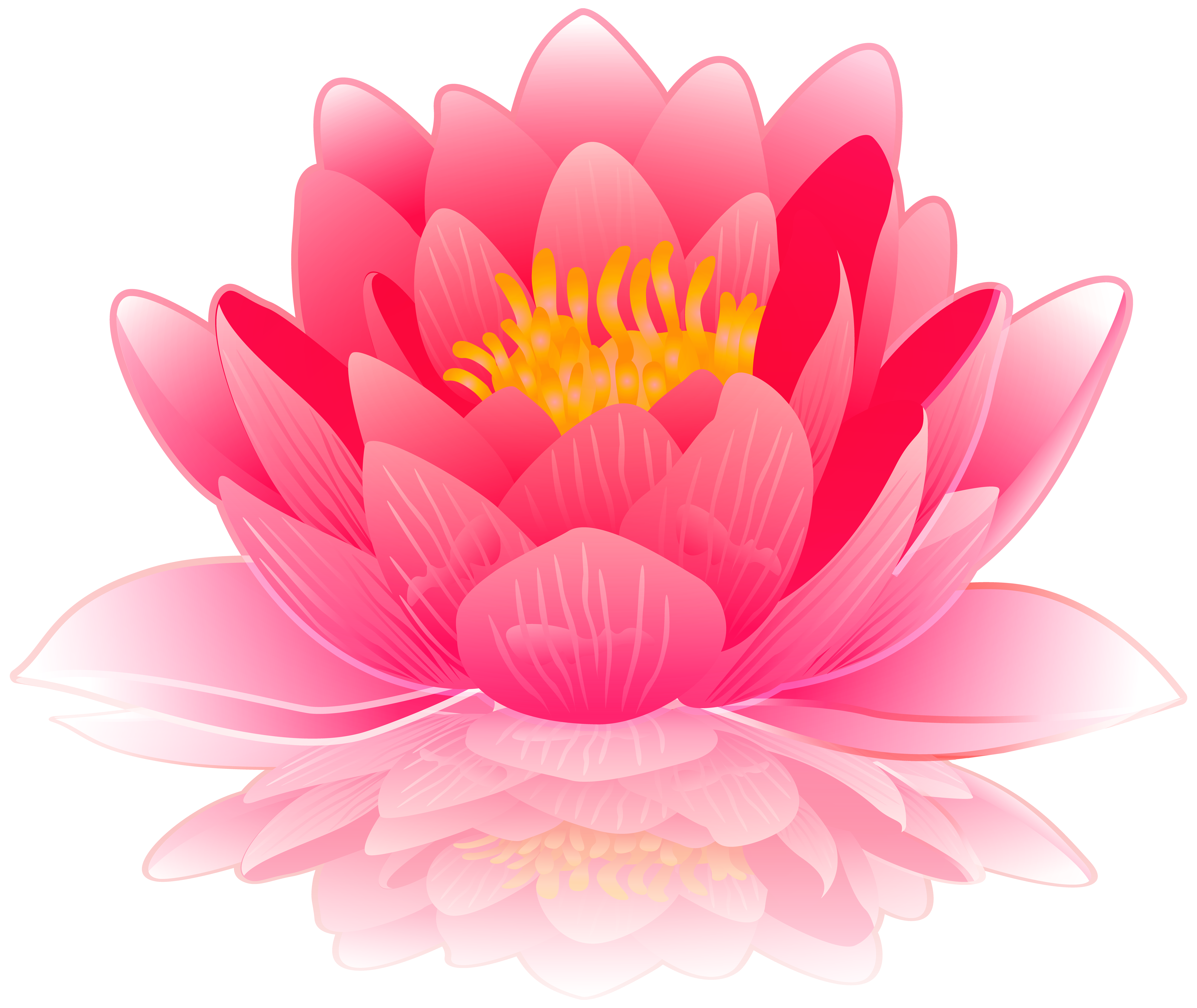 Pink lily png clip. Clipart banner water