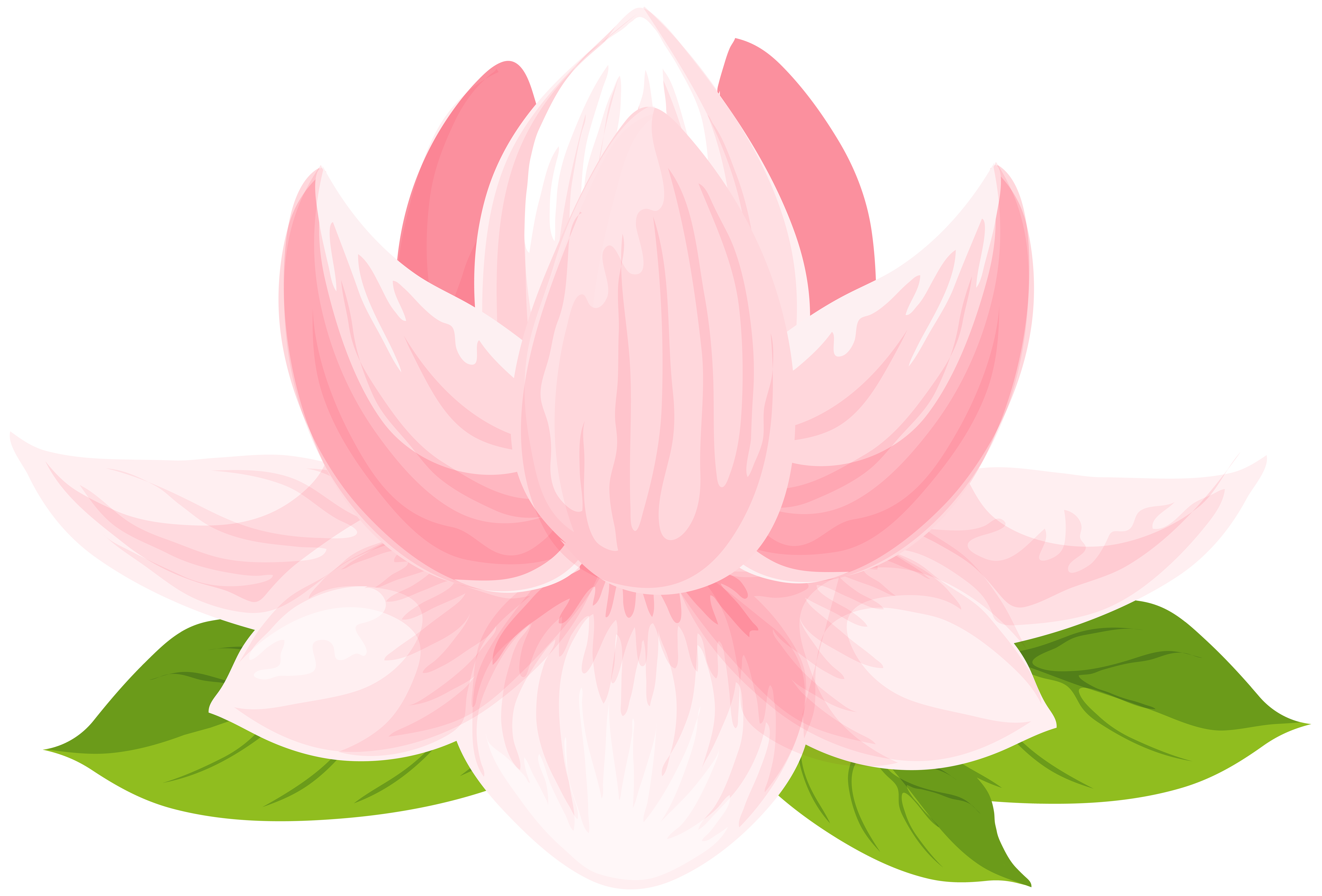 Lily png clip art. Clipart banner water