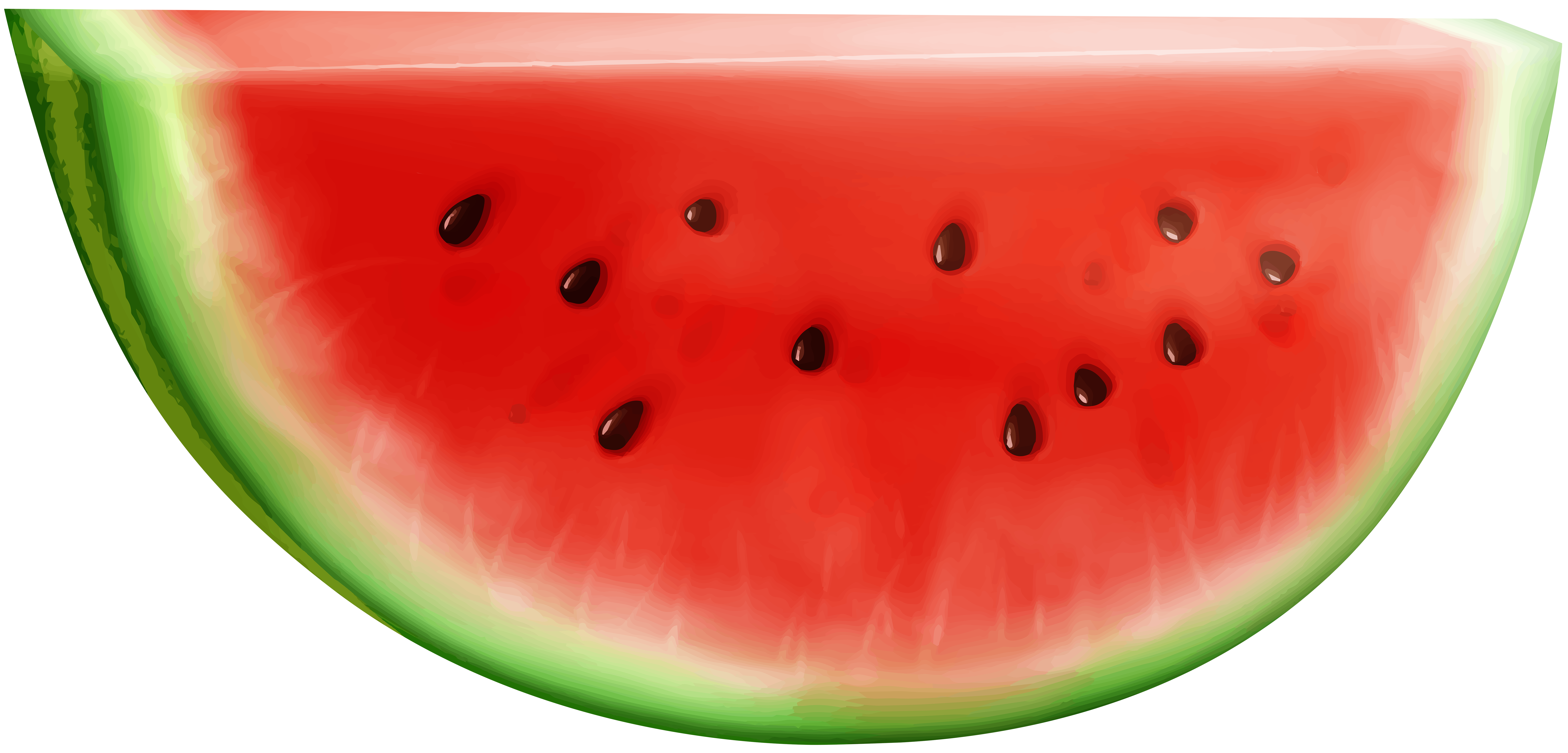Watermelon clipart flower. Slice transparent clip art