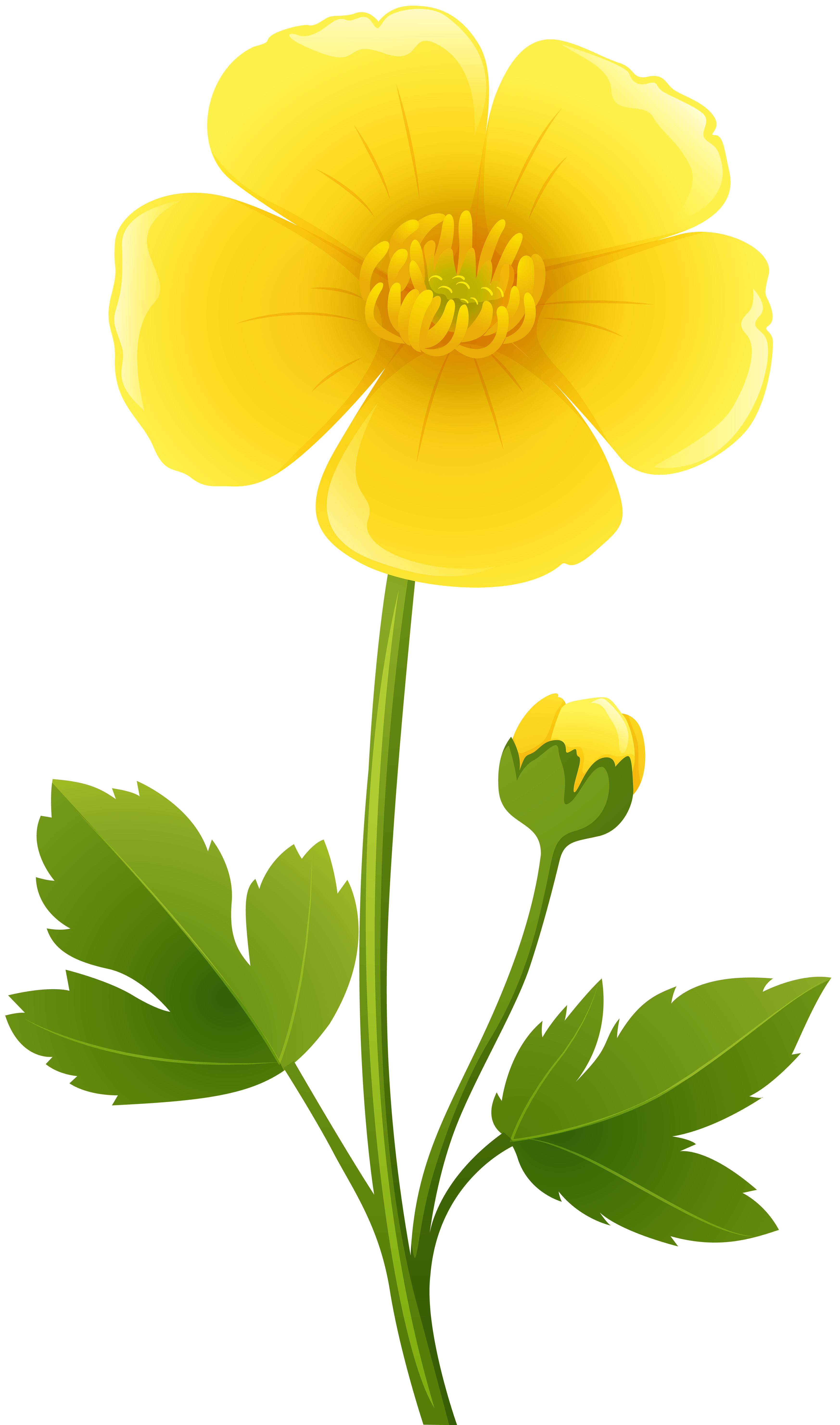 Transparent png clip art. Vines clipart yellow flower