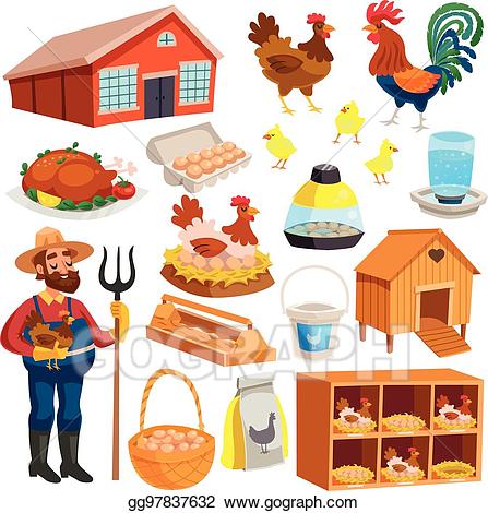 clipart chicken poultry