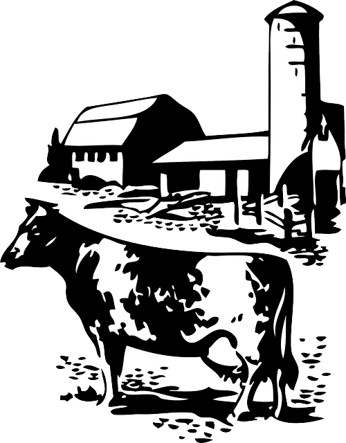 Barn farm cow dairy. Polaroid clipart silhouette