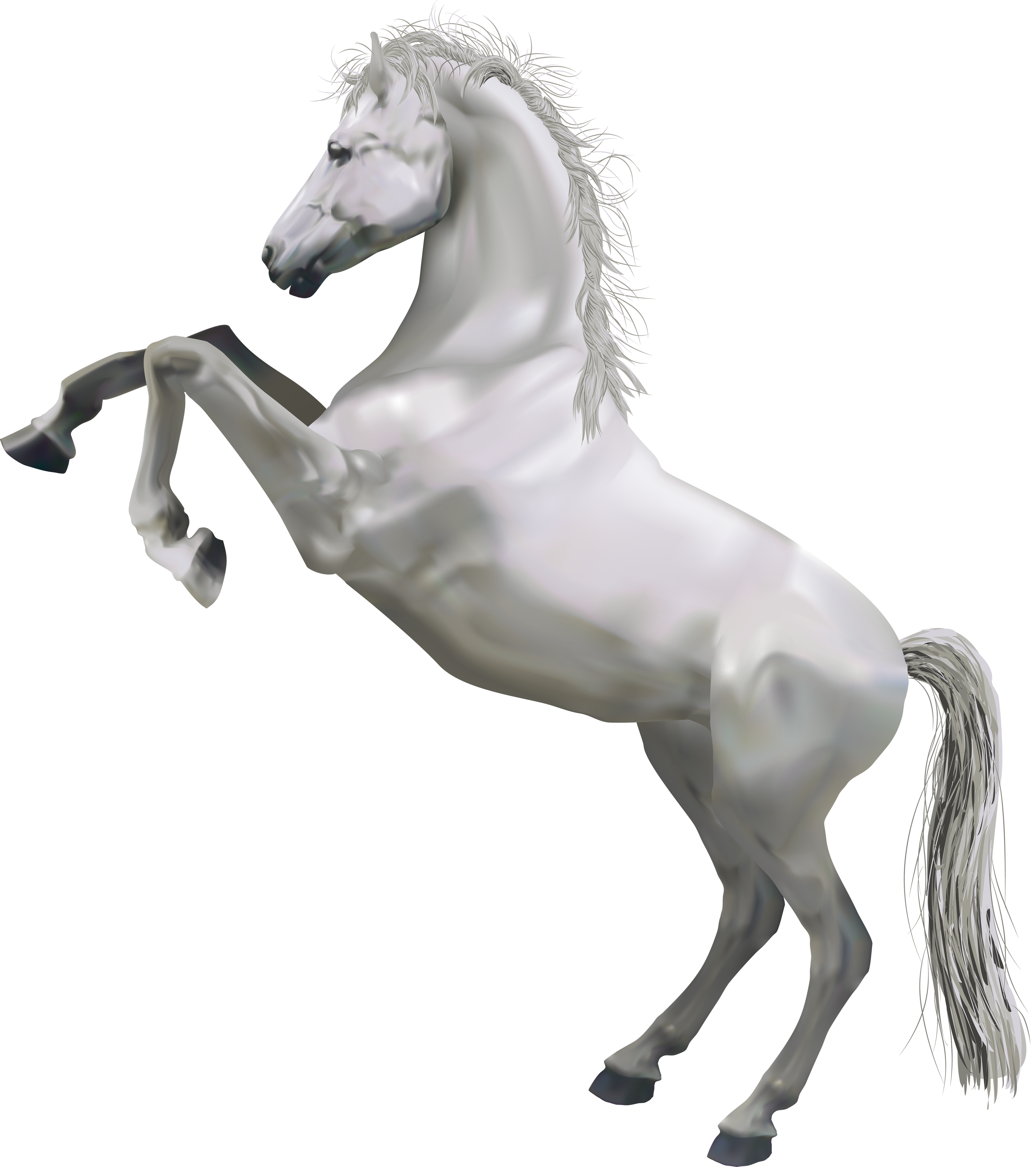 Transparent white pinterest. Horses clipart mustang horse