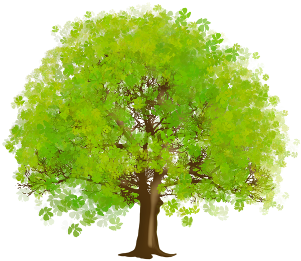 Large green png art. Woodland clipart tree growth
