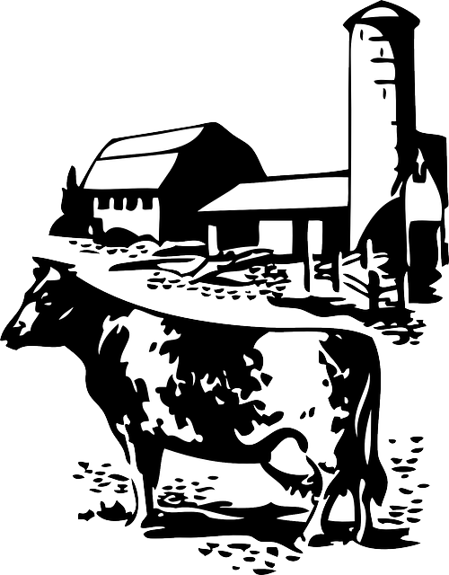 Silhouette farm cow dairy. Clipart barn pen