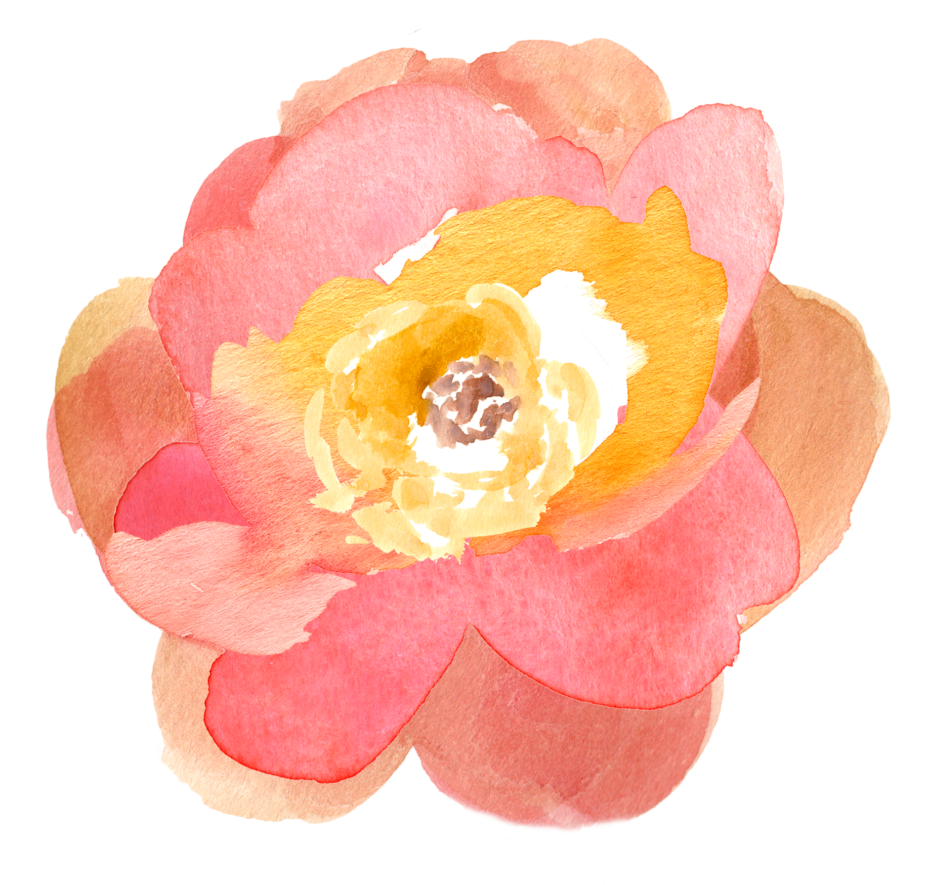 Clipart roses watercolor. So free fall floral