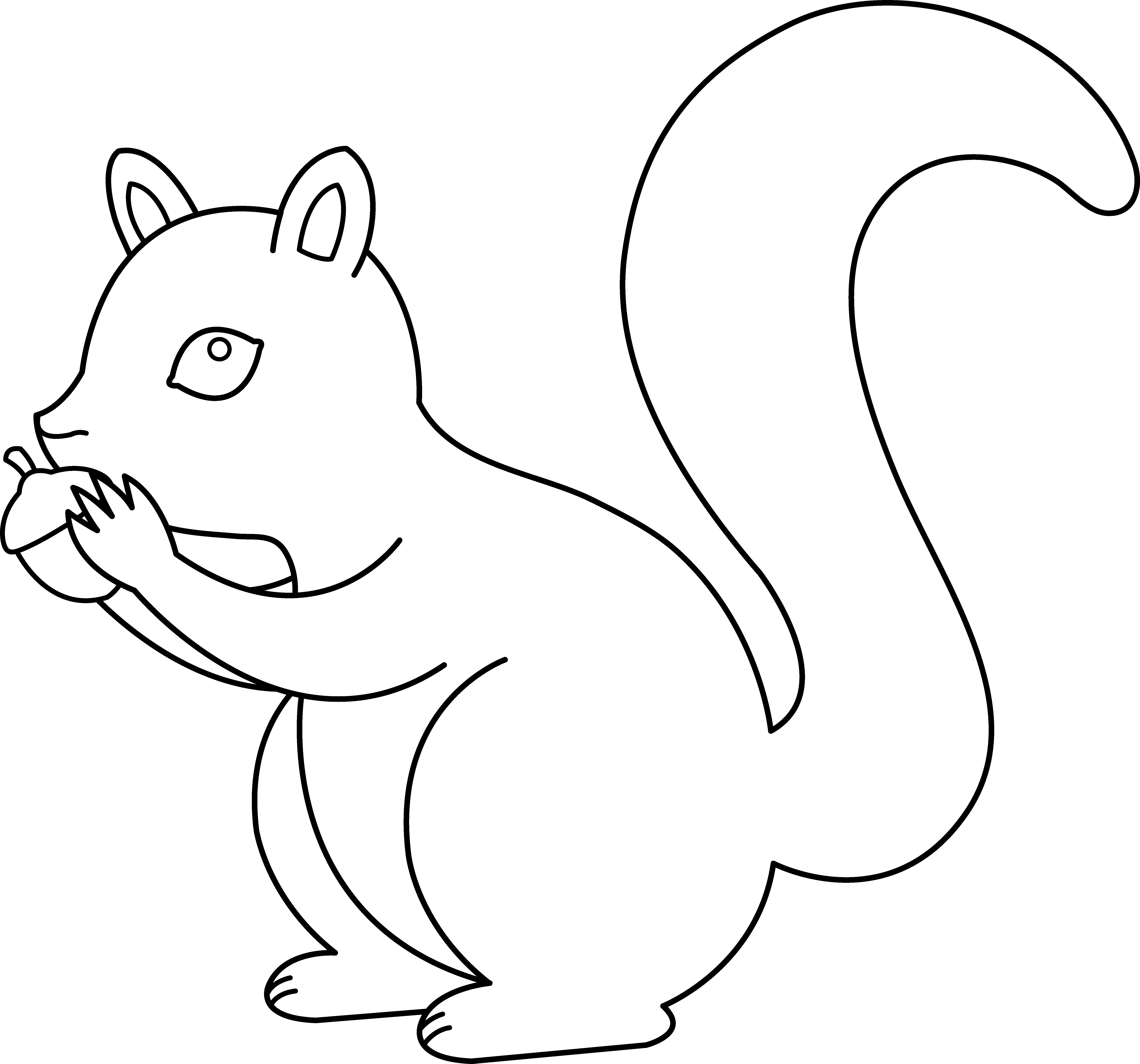 nut clipart colouring page