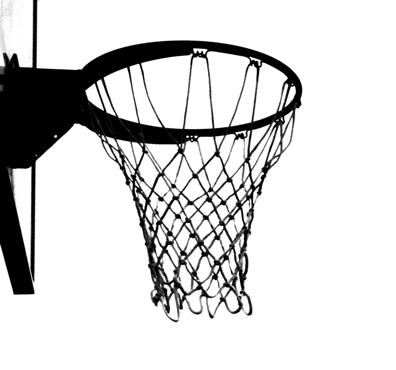 hornet clipart basketball