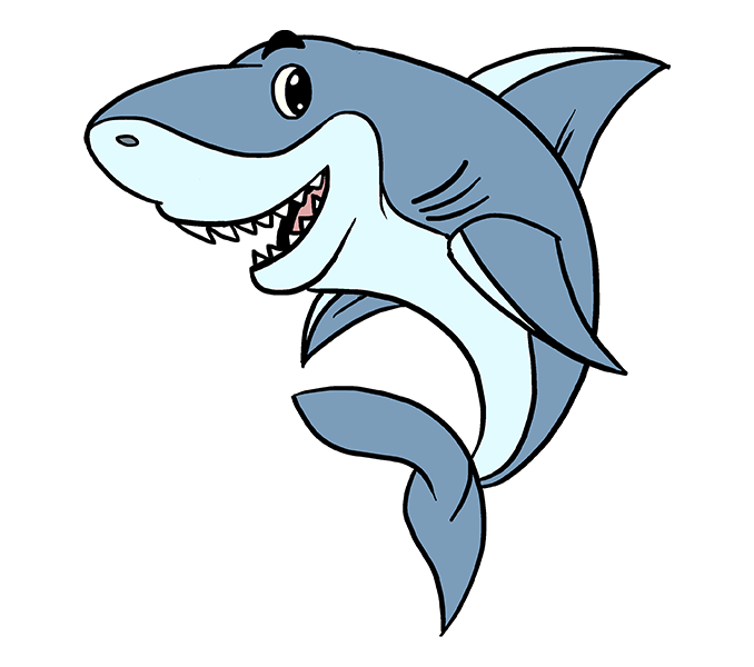 clipart basketball shark