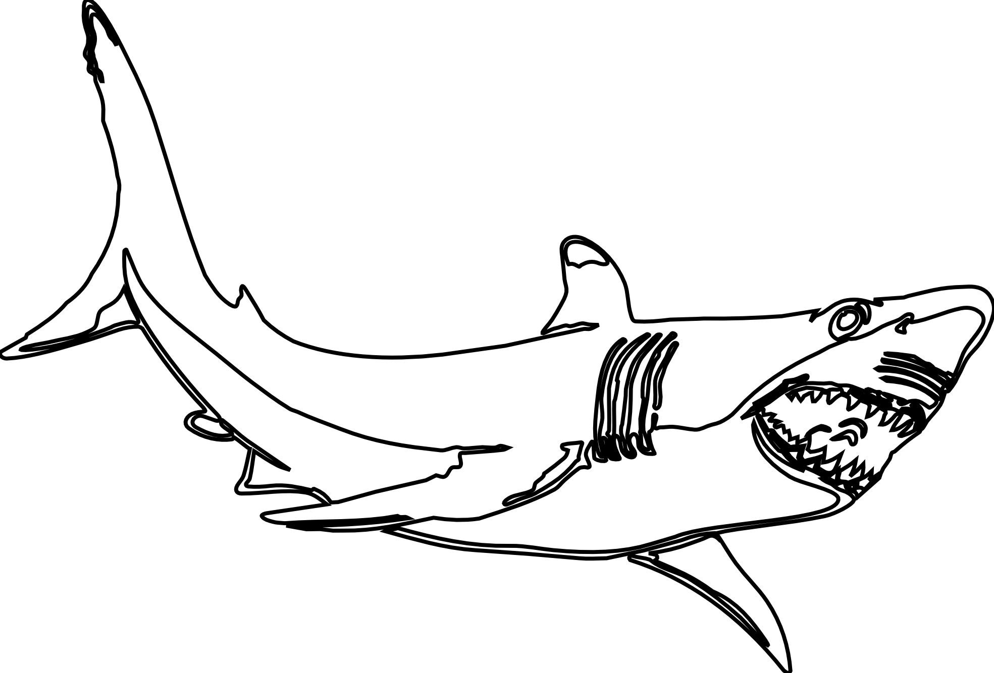 Clipart free shark.  collection of black